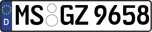 MS-GZ9658