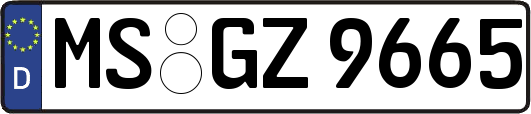 MS-GZ9665