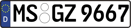 MS-GZ9667