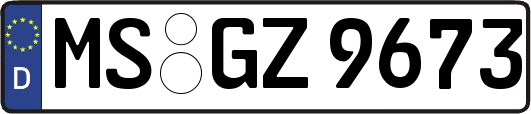MS-GZ9673