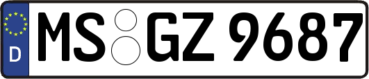 MS-GZ9687