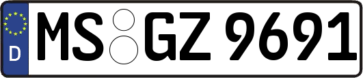 MS-GZ9691