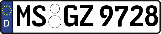 MS-GZ9728