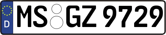MS-GZ9729