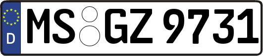 MS-GZ9731