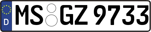 MS-GZ9733