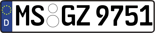 MS-GZ9751