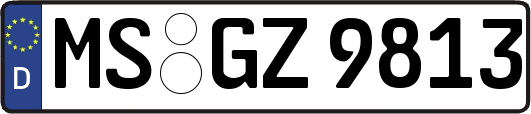 MS-GZ9813