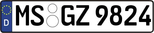 MS-GZ9824