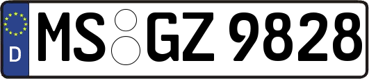 MS-GZ9828