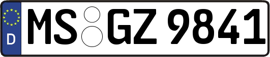 MS-GZ9841