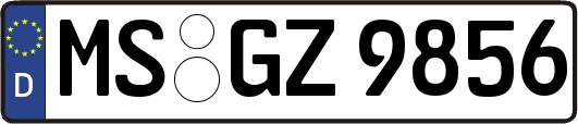 MS-GZ9856