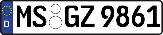 MS-GZ9861