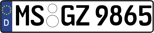 MS-GZ9865