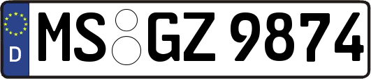 MS-GZ9874