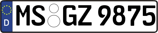 MS-GZ9875