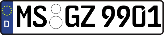 MS-GZ9901