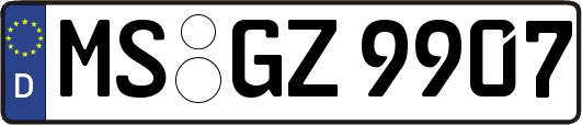 MS-GZ9907