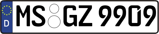 MS-GZ9909