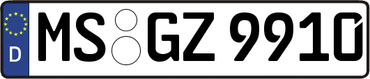 MS-GZ9910