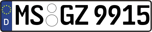 MS-GZ9915