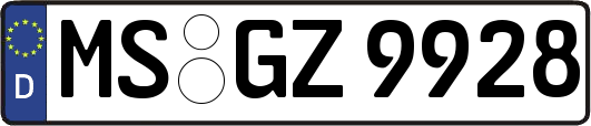 MS-GZ9928