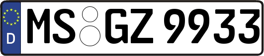MS-GZ9933