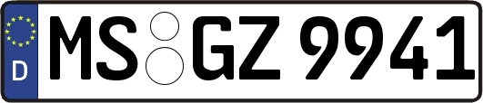 MS-GZ9941