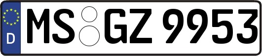 MS-GZ9953