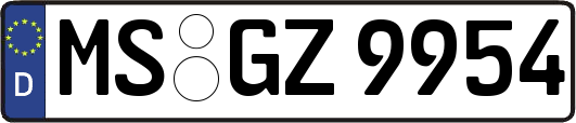 MS-GZ9954