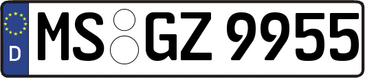 MS-GZ9955