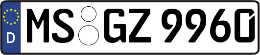 MS-GZ9960