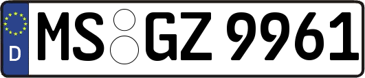 MS-GZ9961