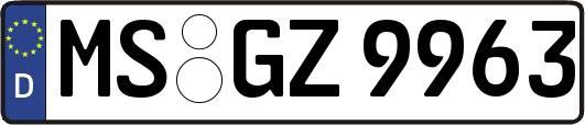 MS-GZ9963