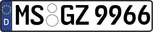MS-GZ9966