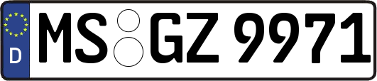 MS-GZ9971