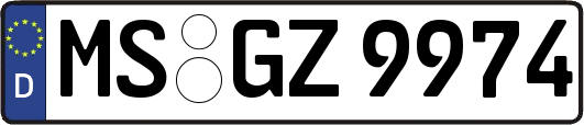 MS-GZ9974