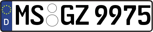 MS-GZ9975