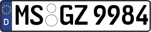 MS-GZ9984