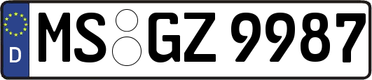 MS-GZ9987