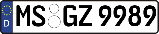 MS-GZ9989