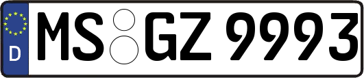 MS-GZ9993