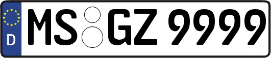 MS-GZ9999