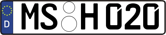 MS-H020