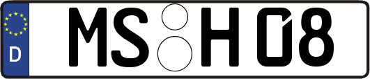 MS-H08