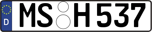MS-H537