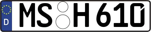 MS-H610