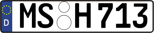 MS-H713