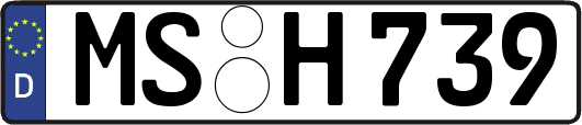 MS-H739
