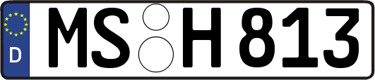 MS-H813